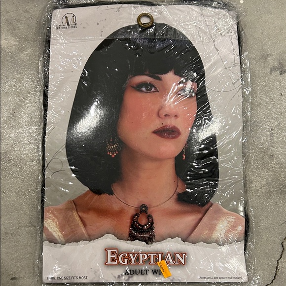 Egyptian Adult Wig - Picture 1 of 6